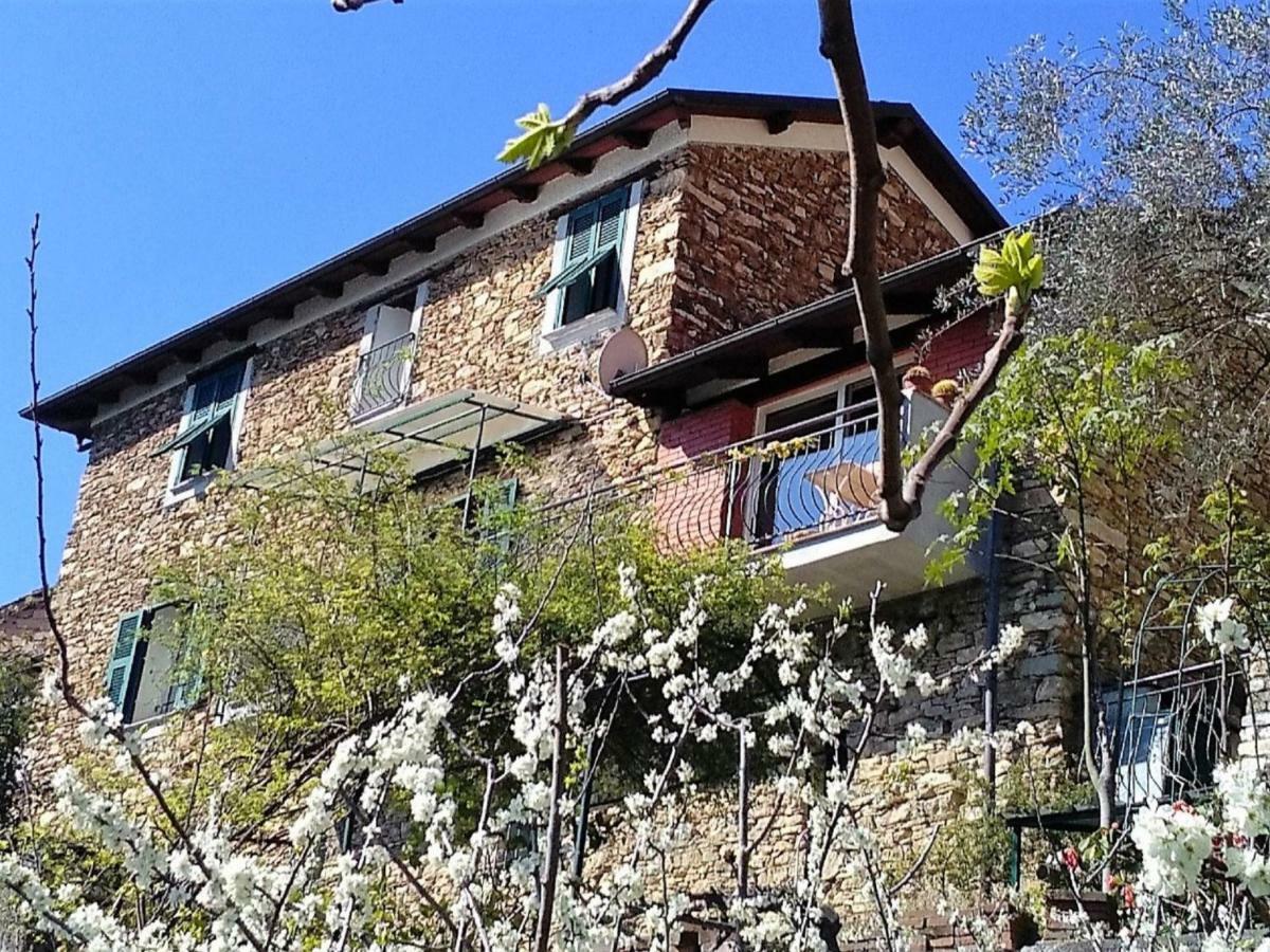 Holiday Home Mes Mas By Interhome Stellanello Εξωτερικό φωτογραφία